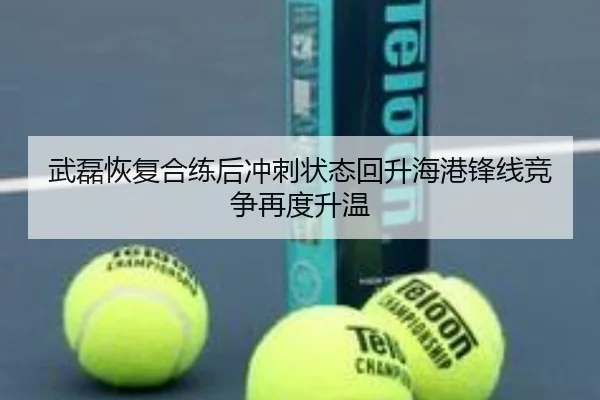 武磊恢复合练后冲刺状态回升海港锋线竞争再度升温