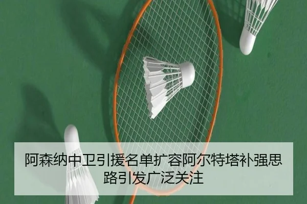 阿森纳中卫引援名单扩容阿尔特塔补强思路引发广泛关注